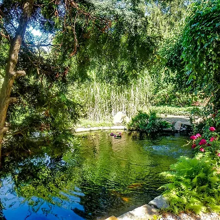 Apartment Haus Seeblick Geltow Schwielowsee